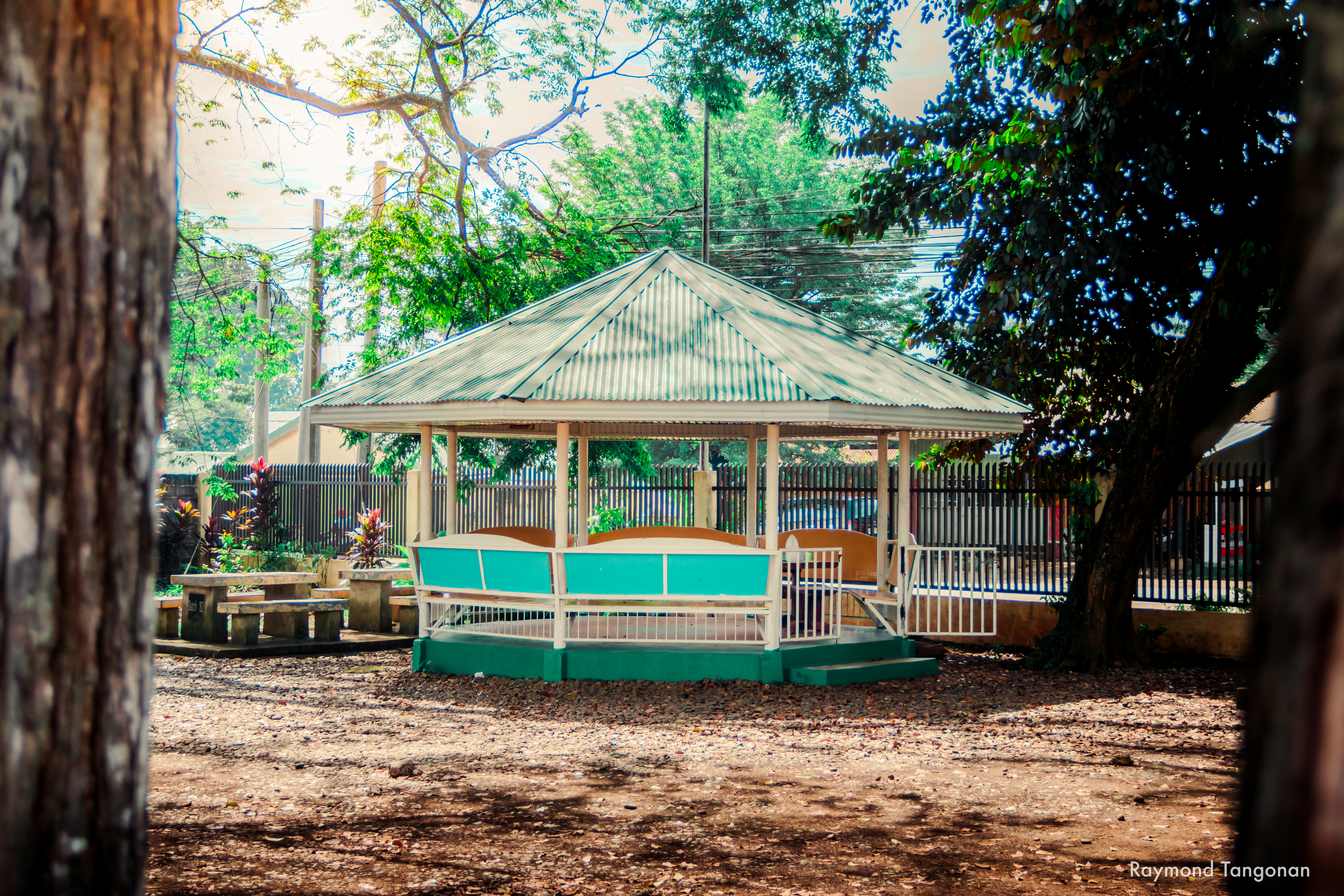 Campus Image 5