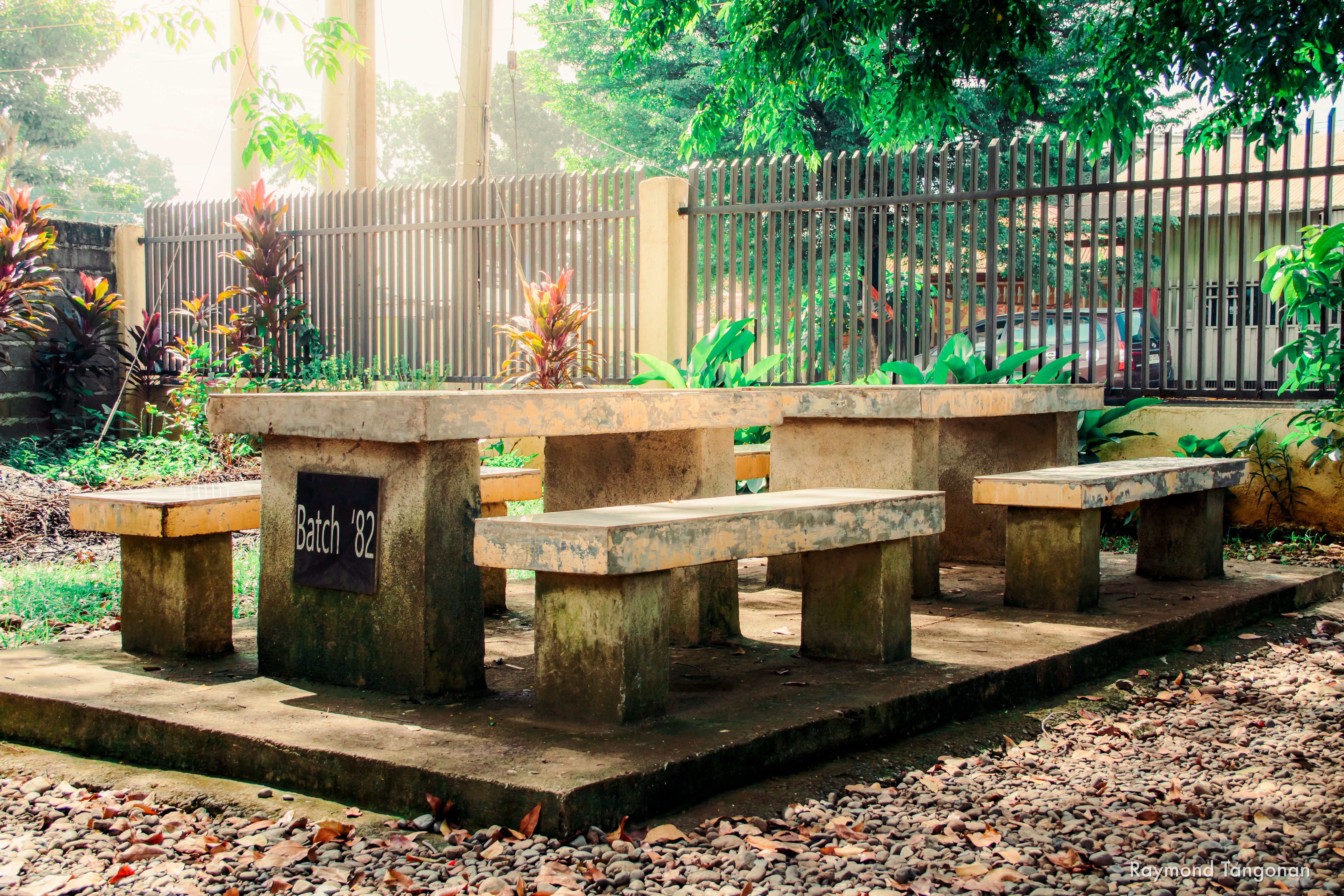 Campus Image 11